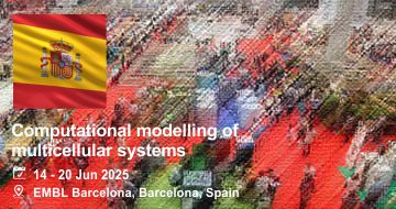 Computational modelling of multicellular systems
